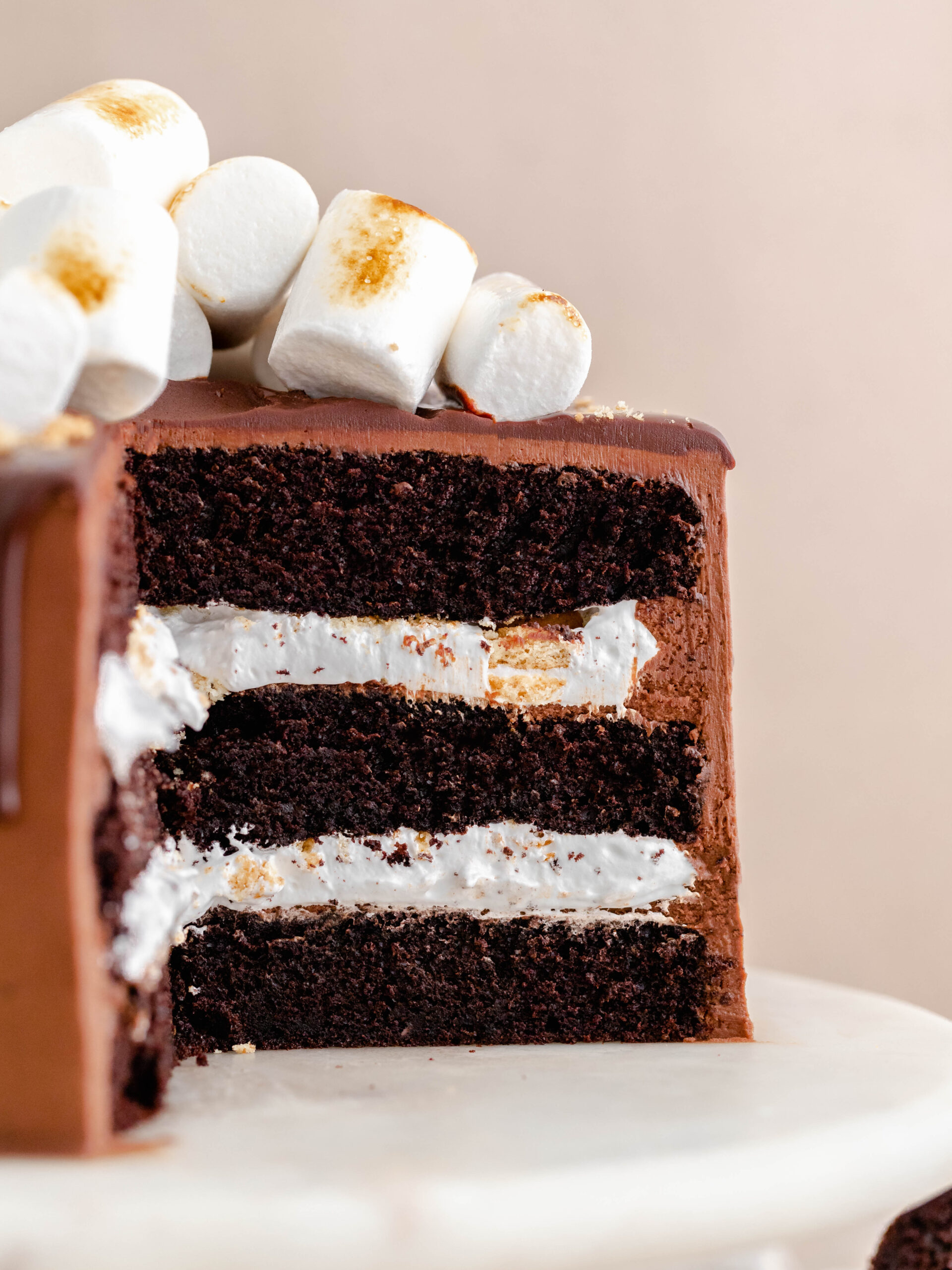 S'mores layer cake on a cake stand