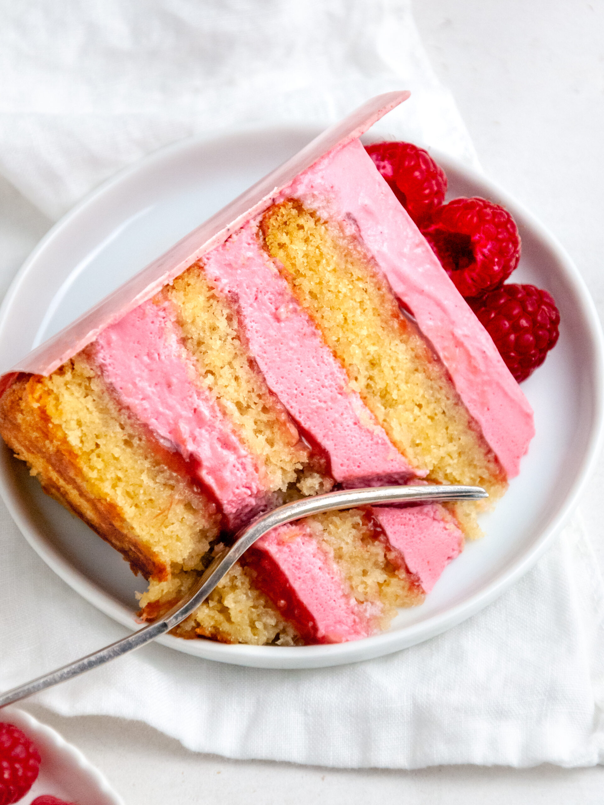 A slice of raspberry and rhubarb mousse layer cake
