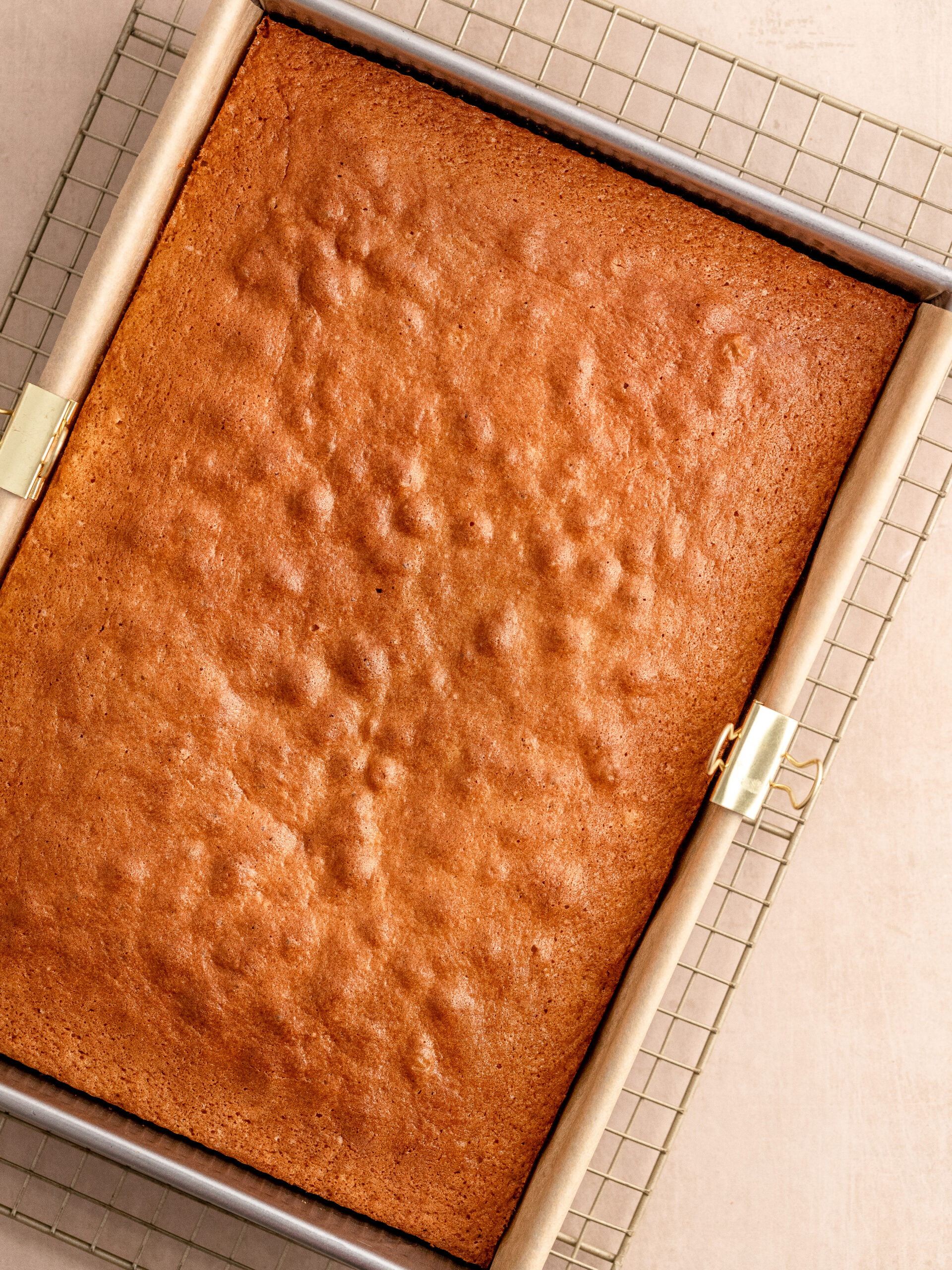 Step 3: Let the baked cake cool down on a cooling rack.