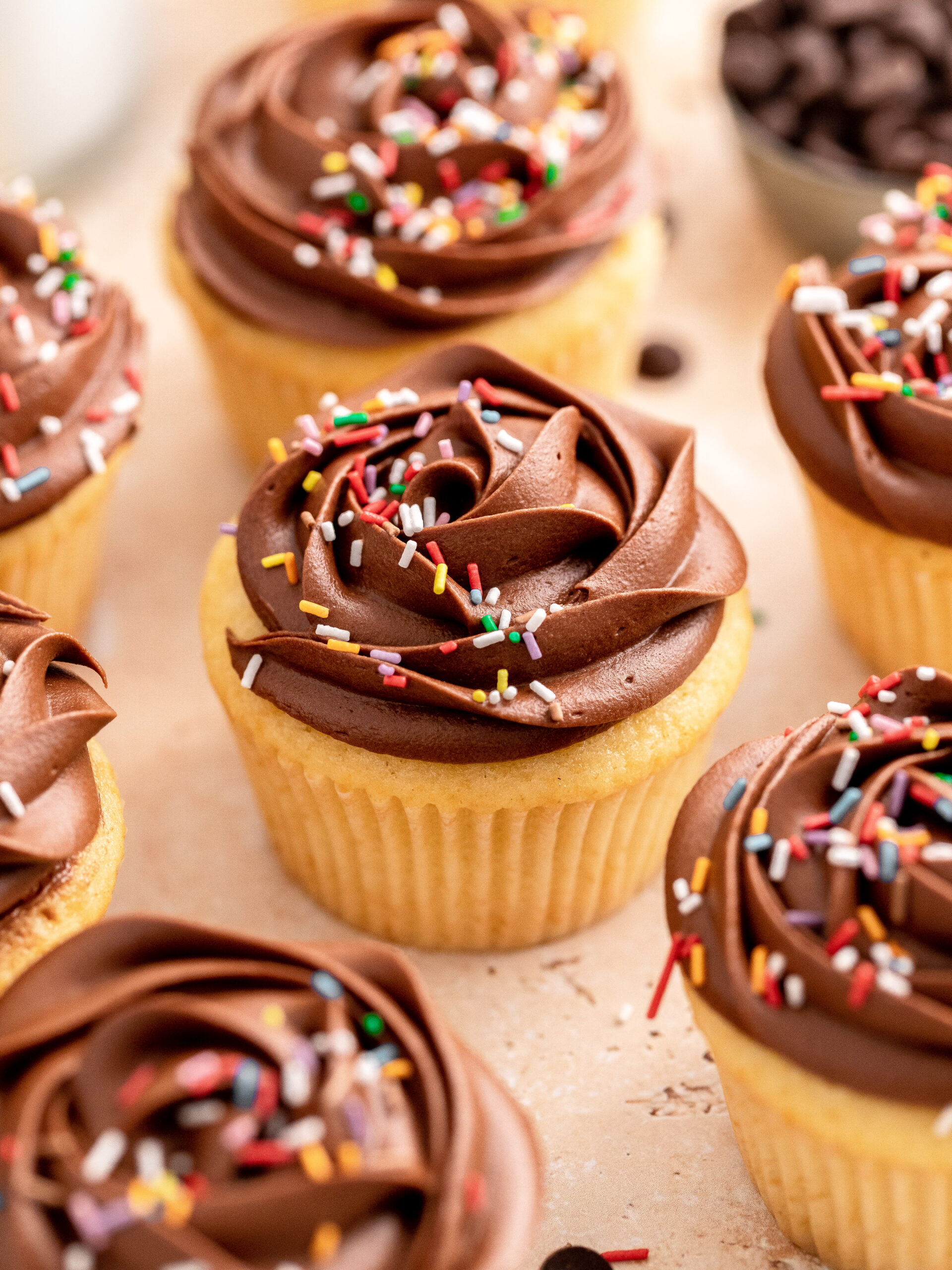 vanilla cupcakes with chocolate frosting